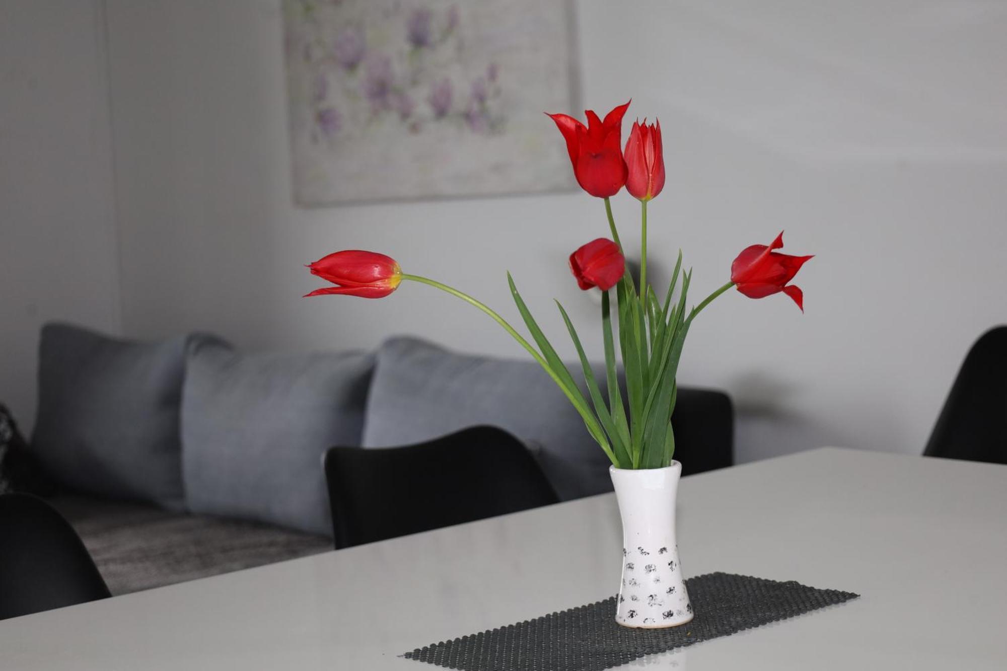 Apartma Javorscek Bovec Luaran gambar